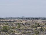 Valley of Fires Recreation Area : New Mexico